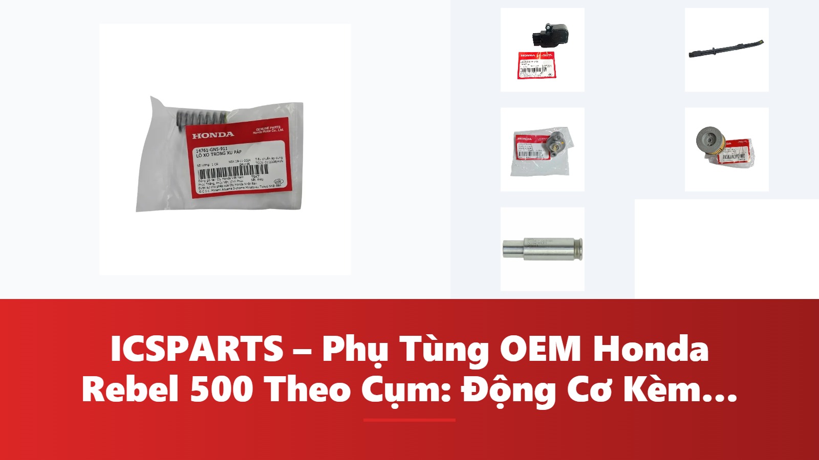 ICSPARTS – Phụ Tùng OEM Honda Rebel 500 Theo Cụm: Động Cơ Kèm Mã