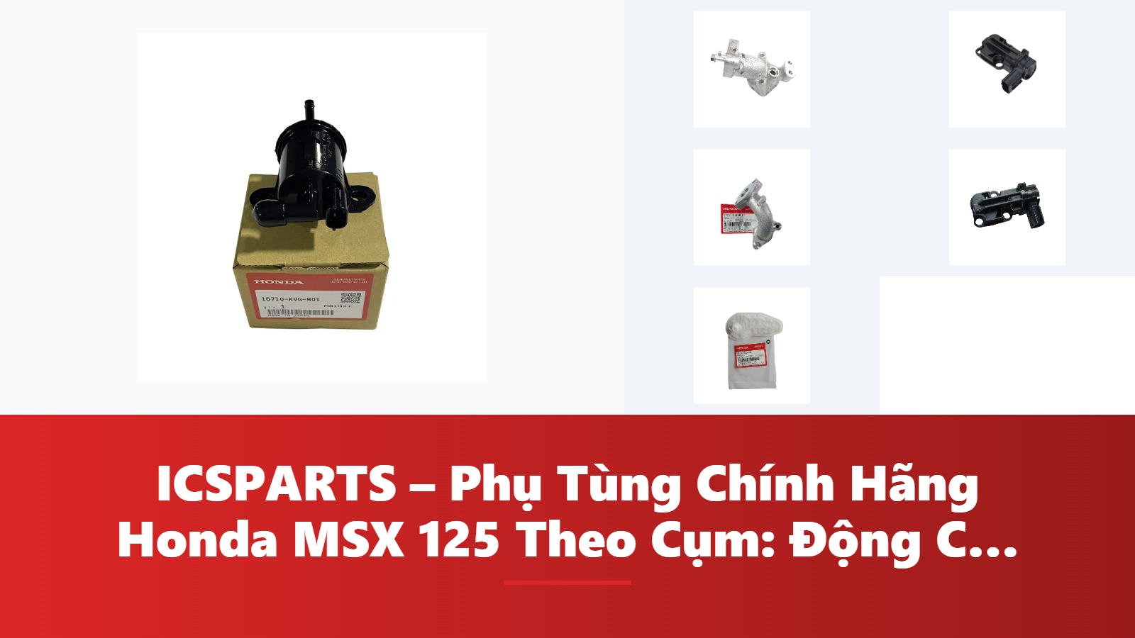 ICSPARTS – Phụ Tùng Chính Hãng Honda MSX 125 Theo Cụm: Động Cơ Kèm Mã
