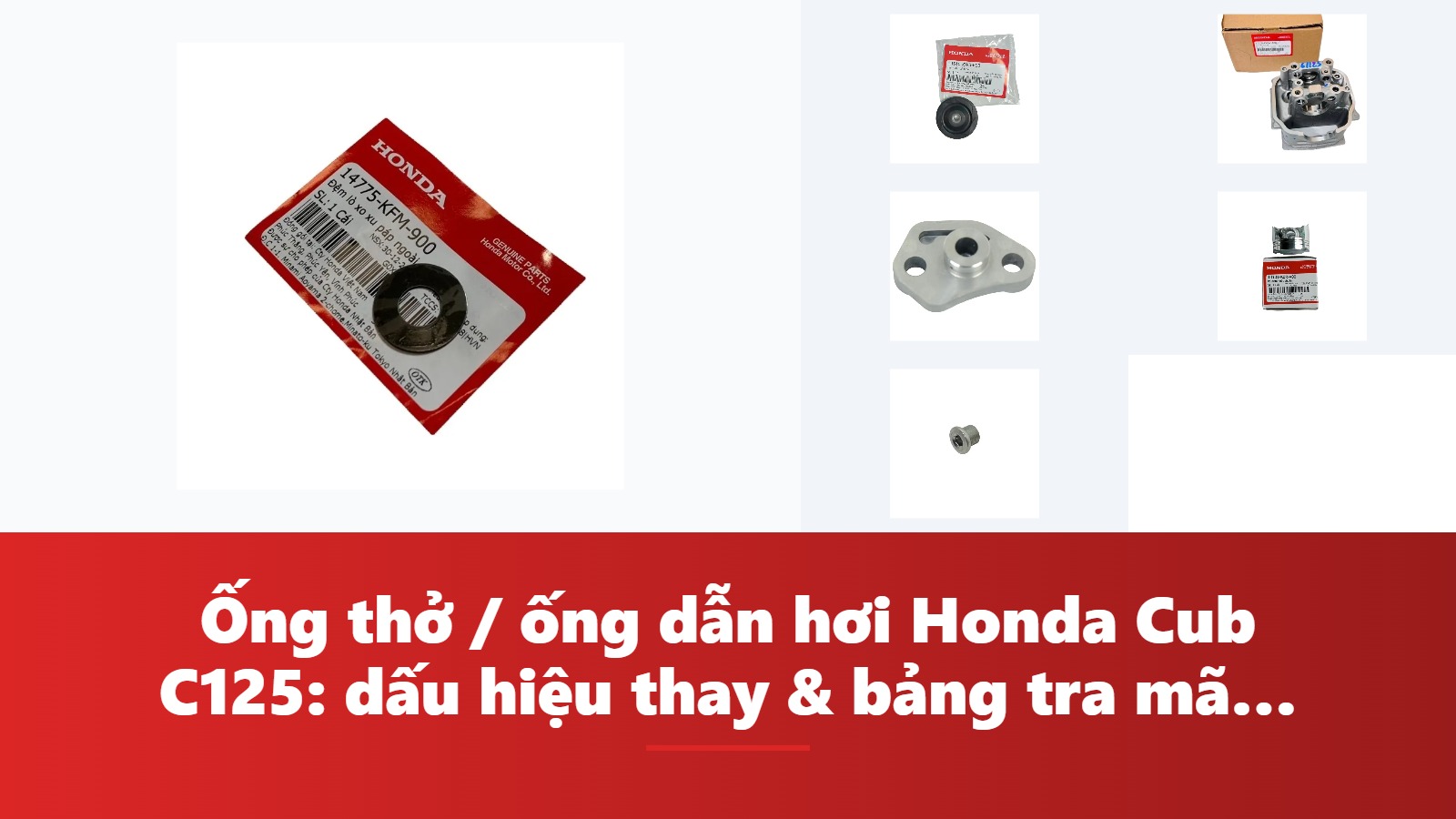 Ống thở / ống dẫn hơi Honda Cub C125: dấu hiệu thay & bảng tra mã phụ tùng chính hãng