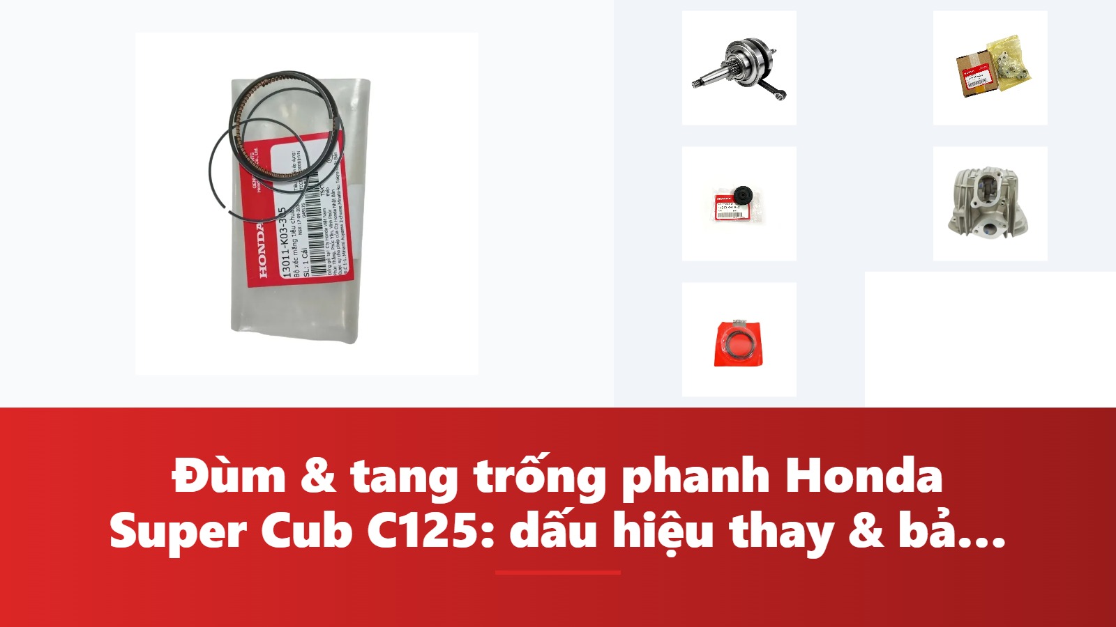 Đùm & tang trống phanh Honda Super Cub C125: dấu hiệu thay & bảng tra mã phụ tùng chính hãng