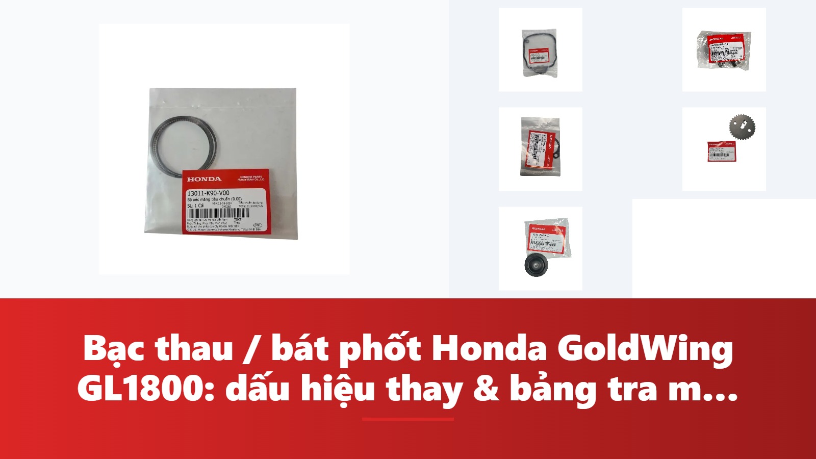 Bạc thau / bát phốt Honda GoldWing GL1800: dấu hiệu thay & bảng tra mã phụ tùng chính hãng