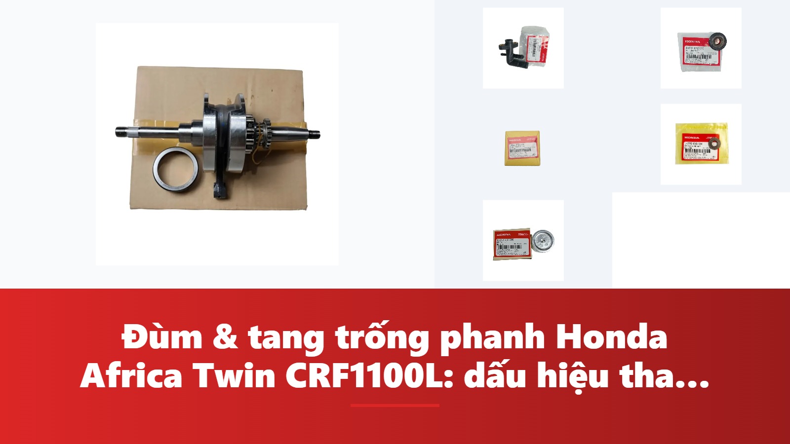 Đùm & tang trống phanh Honda Africa Twin CRF1100L: dấu hiệu thay & bảng tra mã phụ tùng chính hãng