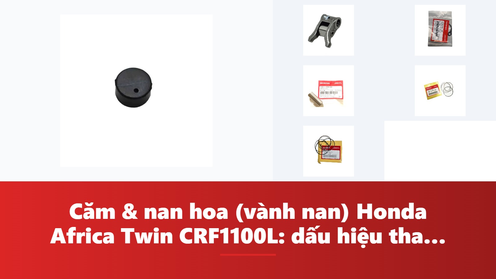 Căm & nan hoa (vành nan) Honda Africa Twin CRF1100L: dấu hiệu thay & bảng tra mã phụ tùng chính hãng
