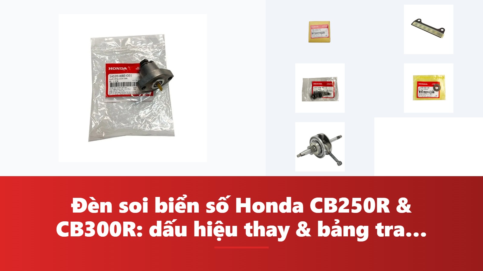 Đèn soi biển số Honda CB250R & CB300R: dấu hiệu thay & bảng tra mã phụ tùng chính hãng