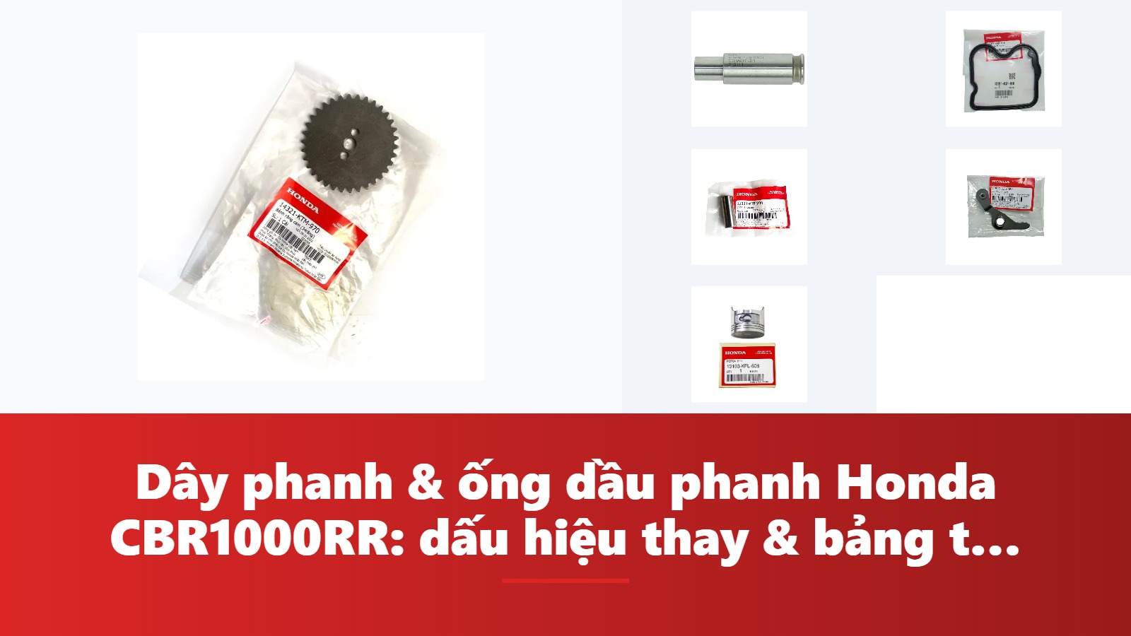 Dây phanh & ống dầu phanh Honda CBR1000RR: dấu hiệu thay & bảng tra mã phụ tùng chính hãng