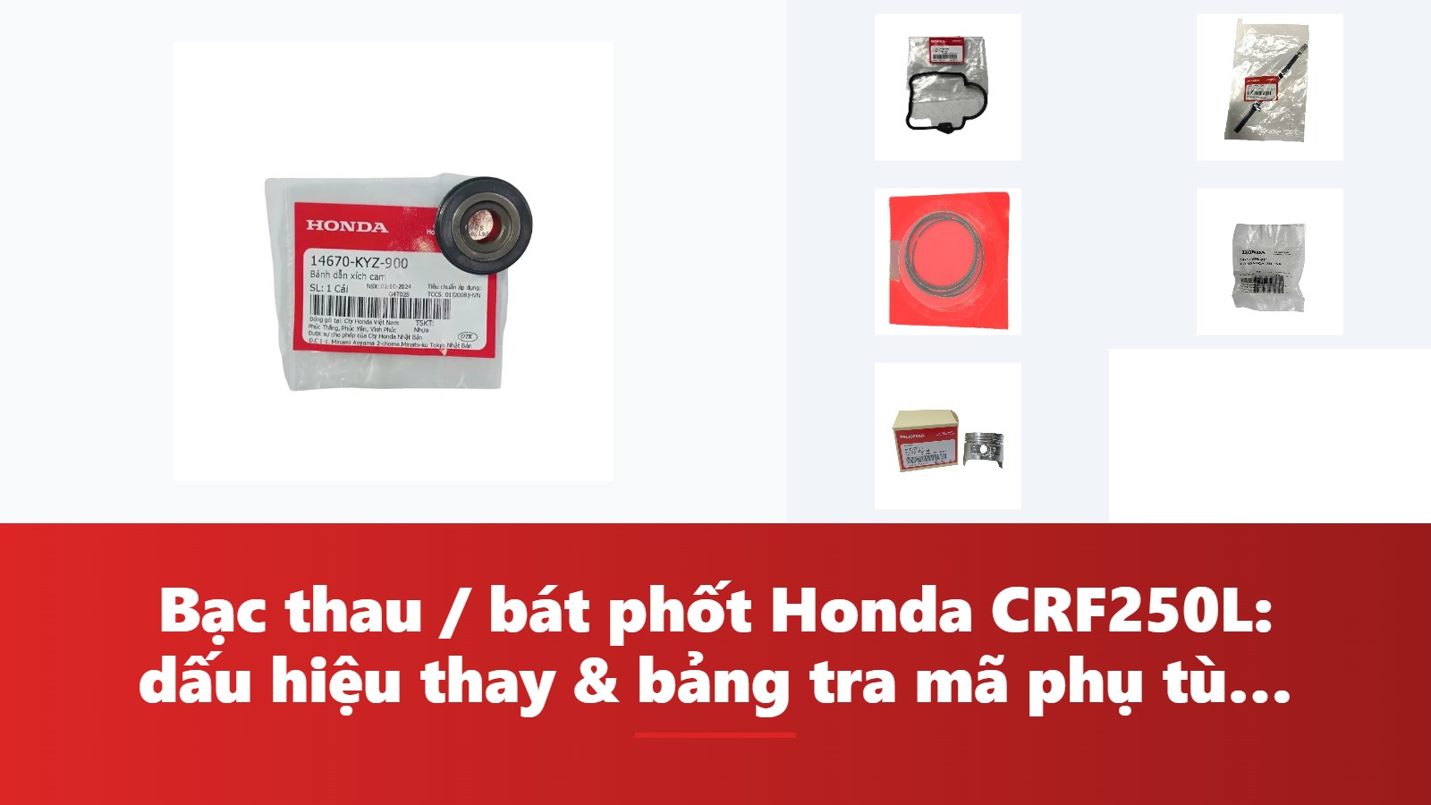 Bạc thau / bát phốt Honda CRF250L: dấu hiệu thay & bảng tra mã phụ tùng chính hãng