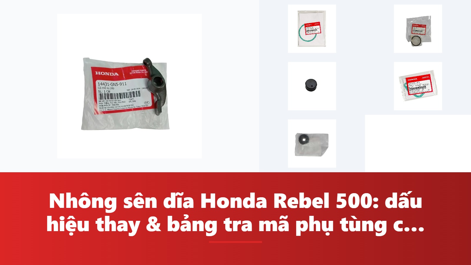 Nhông sên dĩa Honda Rebel 500: dấu hiệu thay & bảng tra mã phụ tùng chính hãng