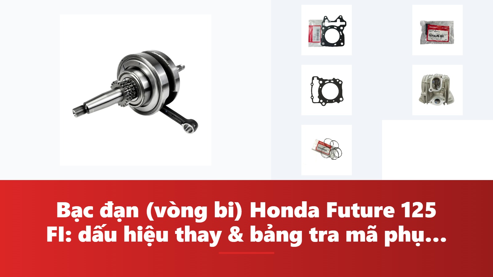 Bạc đạn (vòng bi) Honda Future 125 FI: dấu hiệu thay & bảng tra mã phụ tùng chính hãng