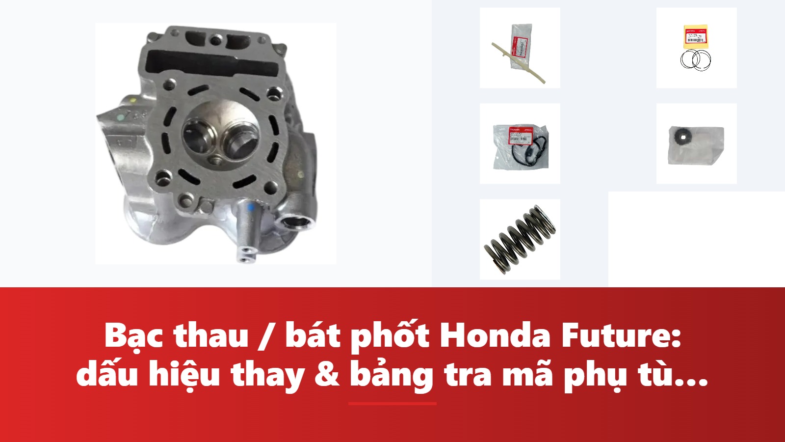 Bạc thau / bát phốt Honda Future: dấu hiệu thay & bảng tra mã phụ tùng chính hãng