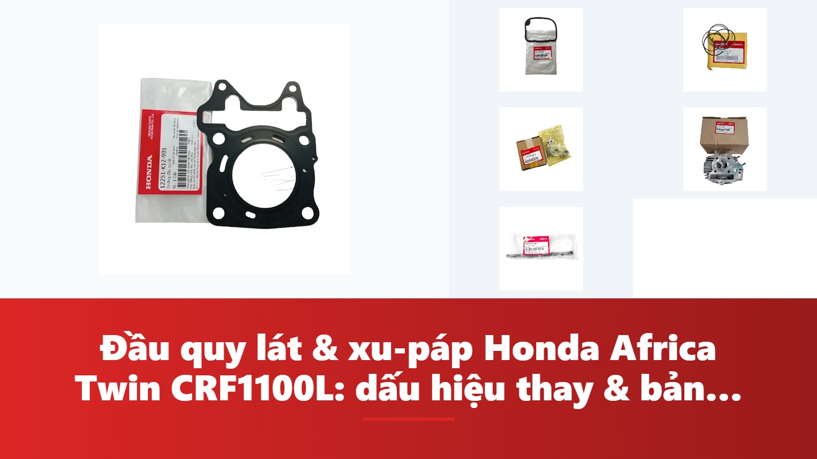 Đầu quy lát & xu-páp Honda Africa Twin CRF1100L: dấu hiệu thay & bảng tra mã phụ tùng chính hãng