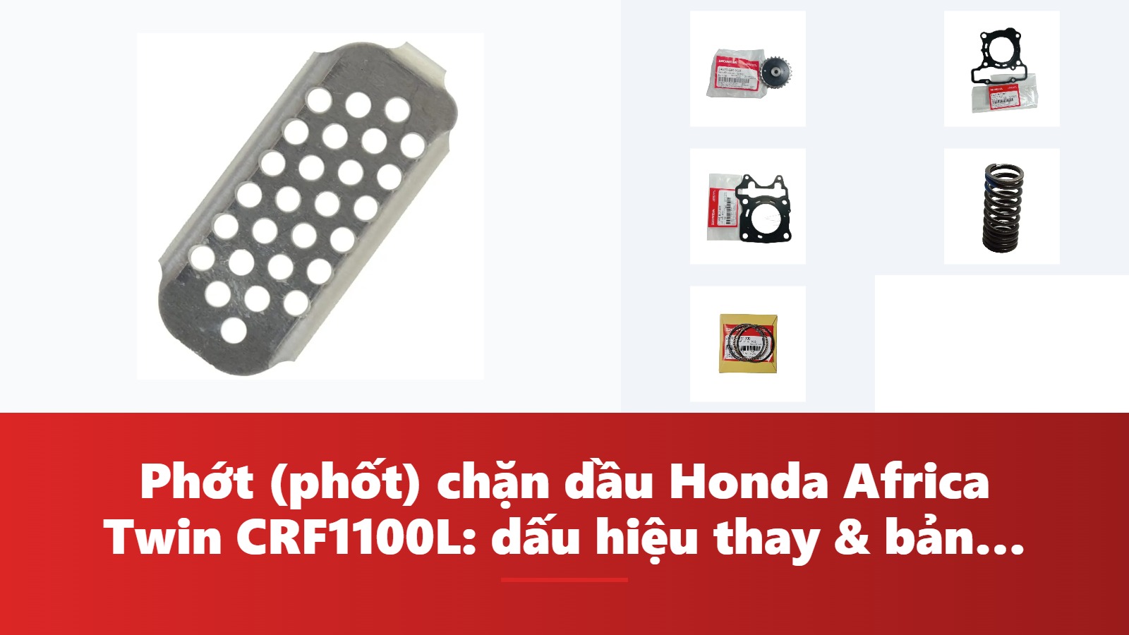 Phớt (phốt) chặn dầu Honda Africa Twin CRF1100L: dấu hiệu thay & bảng tra mã phụ tùng chính hãng