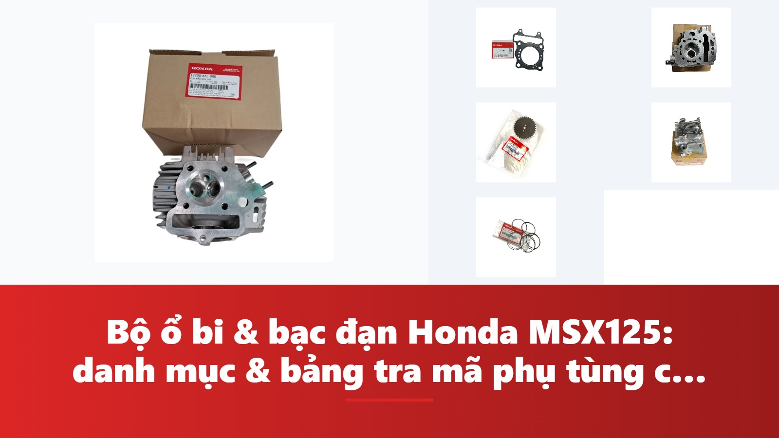 Bộ ổ bi & bạc đạn Honda MSX125: danh mục & bảng tra mã phụ tùng chính hãng