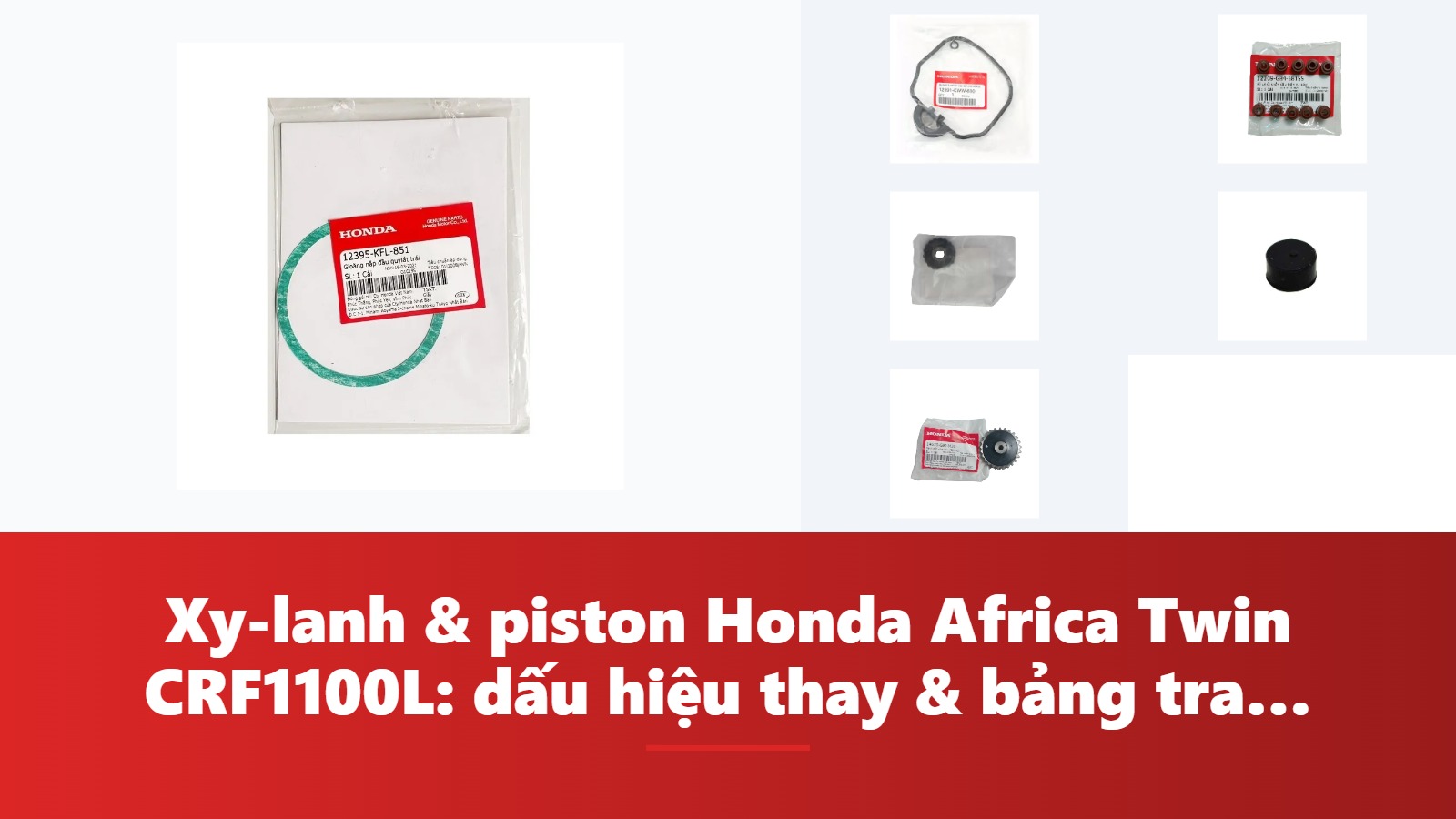 Xy-lanh & piston Honda Africa Twin CRF1100L: dấu hiệu thay & bảng tra mã phụ tùng chính hãng