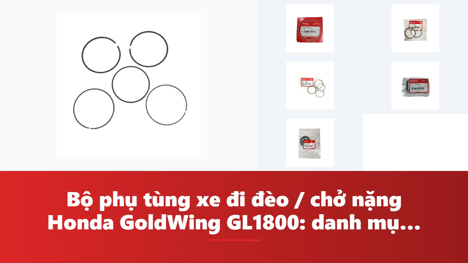 Bộ phụ tùng xe đi đèo / chở nặng Honda GoldWing GL1800: danh mục & bảng tra mã phụ tùng chính hãng