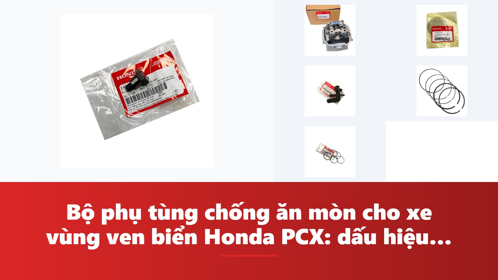 Bộ phụ tùng chống ăn mòn cho xe vùng ven biển Honda PCX: dấu hiệu, chẩn đoán & bảng tra mã phụ tùng chính hãng