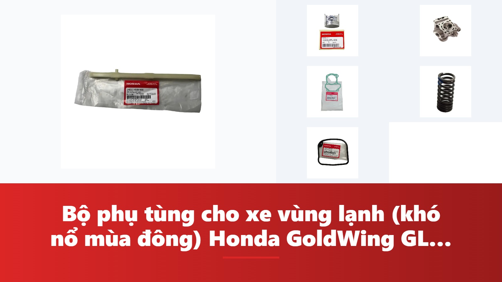 Bộ phụ tùng cho xe vùng lạnh (khó nổ mùa đông) Honda GoldWing GL1800: dấu hiệu, chẩn đoán & bảng tra mã phụ tùng chính hãng
