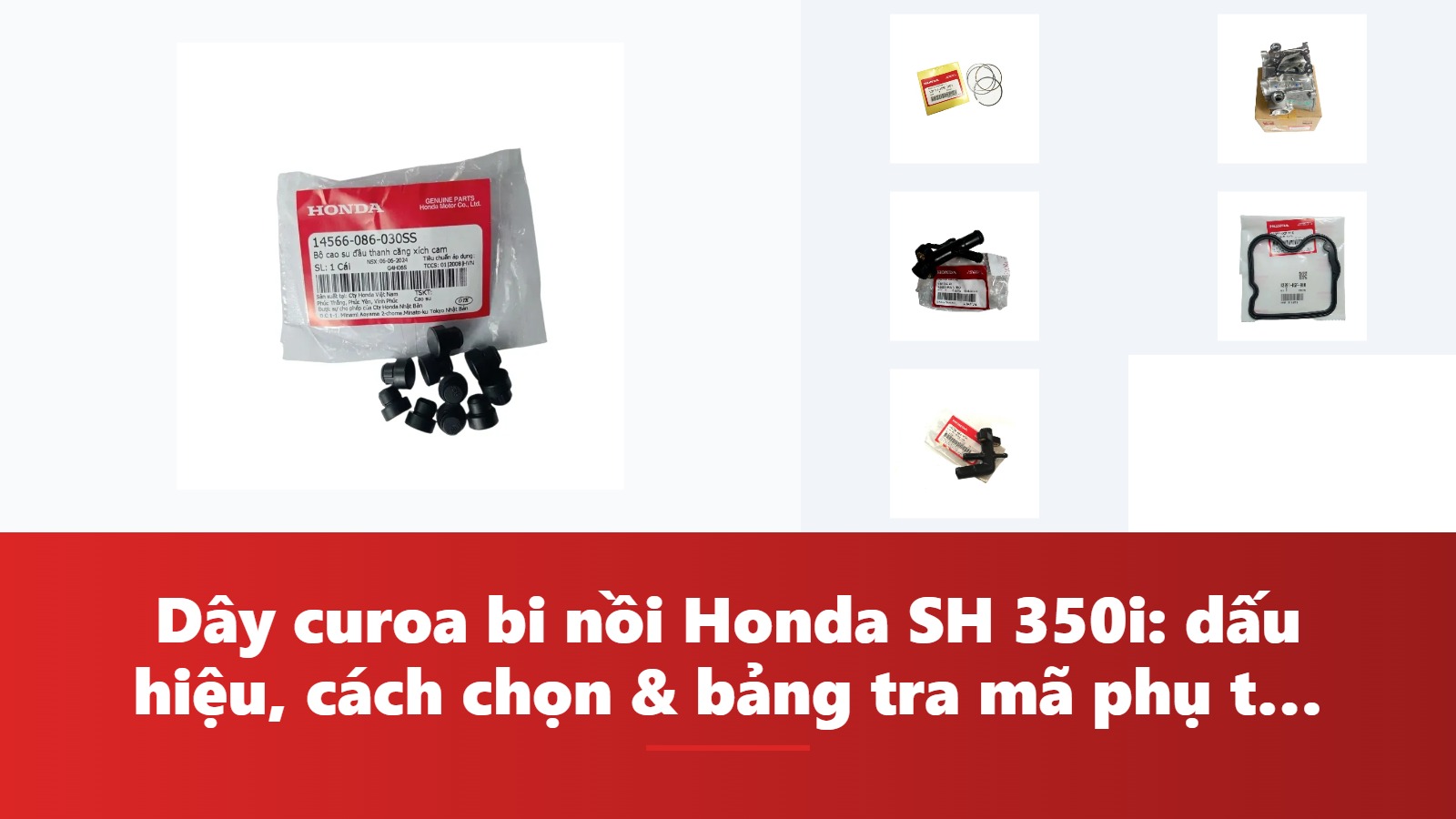 Dây curoa bi nồi Honda SH 350i: dấu hiệu, cách chọn & bảng tra mã phụ tùng chính hãng