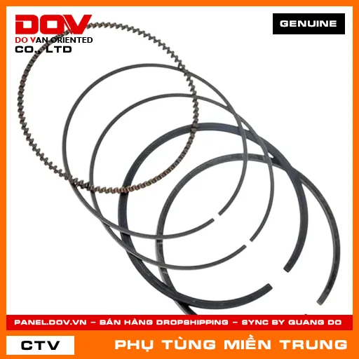 BỘ XÉC MĂNG CỐT 1 (0.25) HONDA CHÍNH HÃNG (MÃ: 13012GN5315) — 13012GN5315