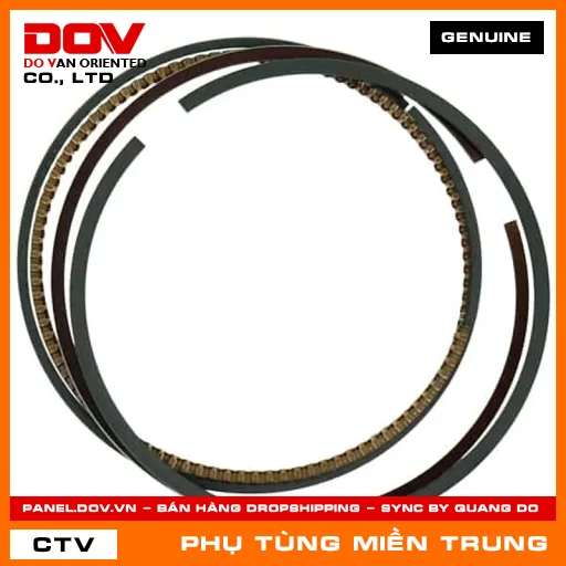 BỘ XÉC MĂNG CỐT 1 (0.25) HONDA CHÍNH HÃNG (MÃ: 13021K1Z305) — 13021K1Z305