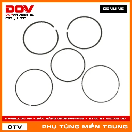 BỘ XÉC MĂNG CỐT 2 (0.50) HONDA CHÍNH HÃNG (MÃ: 13031K97305) — 13031K97305