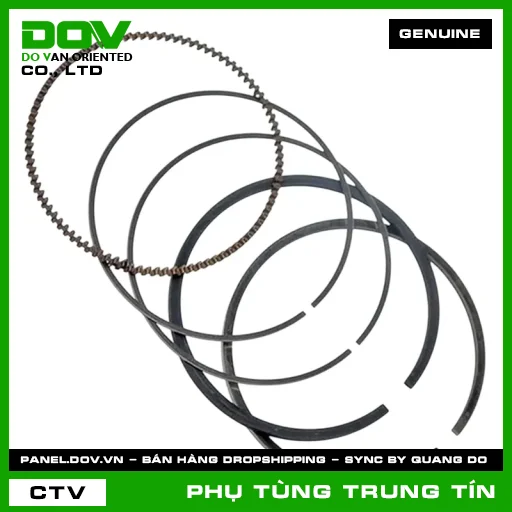 BỘ XÉC MĂNG CỐT 1 (0.25) | 13012-GN5-315 | HONDA — 13012GN5315