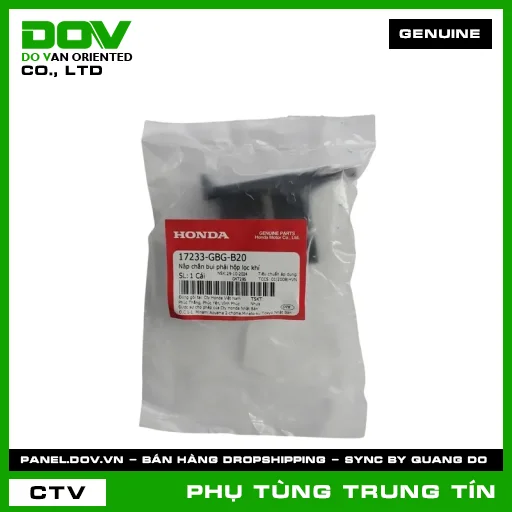 NẮP CHẮN BỤI PHẢI HỘP LỌC KHÍ | 17233-GBG-B20 | HONDA (SUPER DREAM) — 17233GBGB20