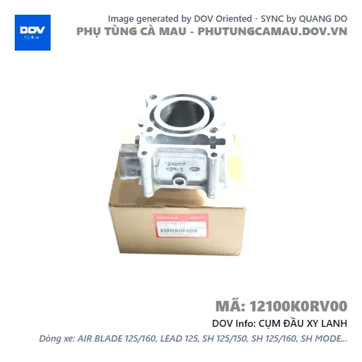 CỤM ĐẦU XY LANH  — 12100K0RV00