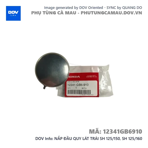 NẮP ĐẦU QUY LÁT TRÁI SH 125/150, SH 125/160 — 12341GB6910