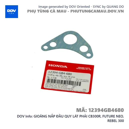GIOĂNG NẮP ĐẦU QUY LÁT PHẢI CB300R, FUTURE NEO, REBEL 300 — 12394GB4680