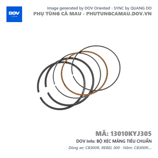 BỘ XÉC MĂNG TIÊU CHUẨN  — 13010KYJ305