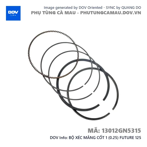 BỘ XÉC MĂNG CỐT 1 (0.25) FUTURE 125 — 13012GN5315