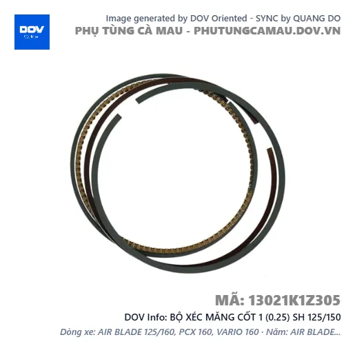 BỘ XÉC MĂNG CỐT 1 (0.25) SH 125/150 — 13021K1Z305