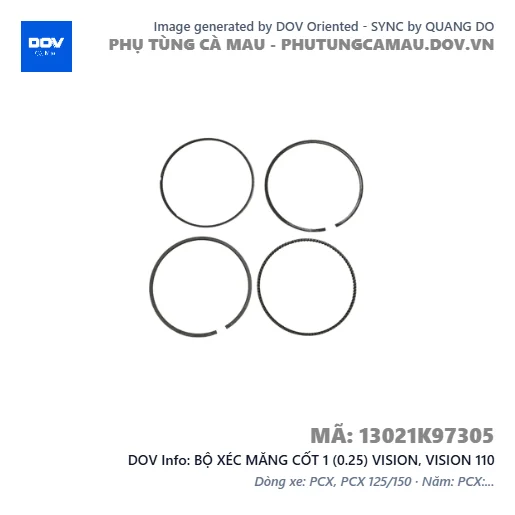 BỘ XÉC MĂNG CỐT 1 (0.25) VISION, VISION 110 — 13021K97305