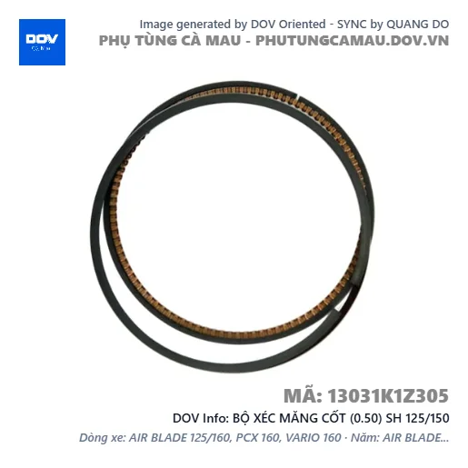 BỘ XÉC MĂNG CỐT (0.50) SH 125/150 — 13031K1Z305