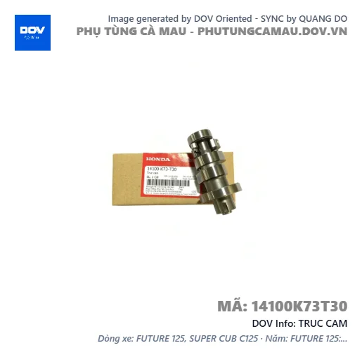 TRUC CAM — 14100K73T30