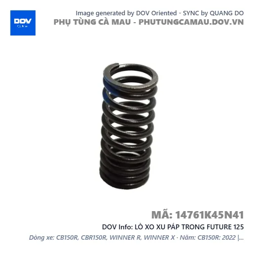 LÒ XO XU PÁP TRONG FUTURE 125 — 14761K45N41