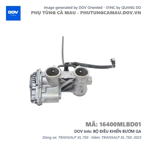 BỘ ĐIỀU KHIỂN BƯỚM GA — 16400MLBD01