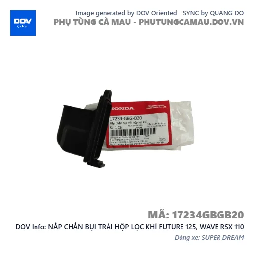NẮP CHẮN BỤI TRÁI HỘP LỌC KHÍ FUTURE 125, WAVE RSX 110 — 17234GBGB20