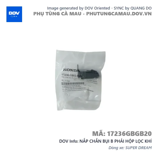 NẮP CHẮN BỤI B PHẢI HỘP LỌC KHÍ  — 17236GBGB20