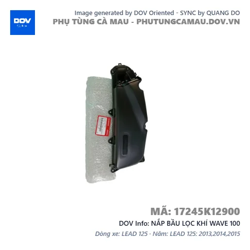 NẮP BẦU LỌC KHÍ WAVE 100 — 17245K12900