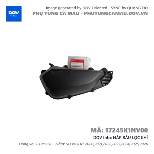NẮP BẦU LỌC KHÍ  — 17245K1NV00