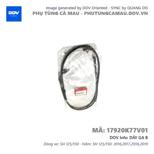 DÂY GA B  — 17920K77V01