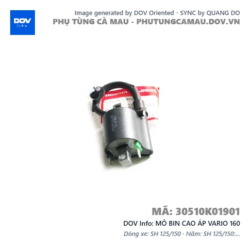 MÔ BIN CAO ÁP VARIO 160 — 30510K01901