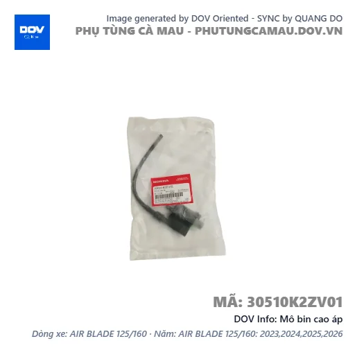 Mô bin cao áp  — 30510K2ZV01