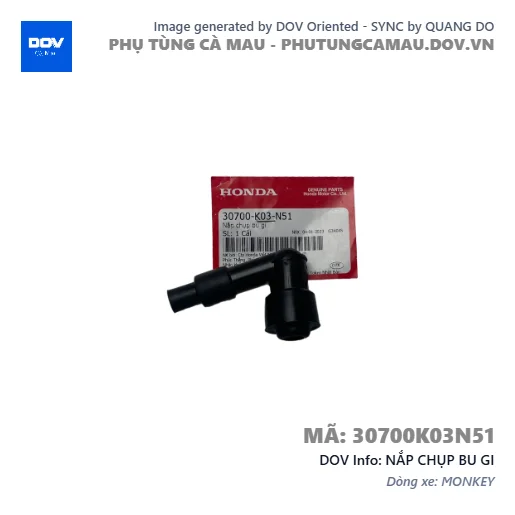 NẮP CHỤP BU GI  — 30700K03N51