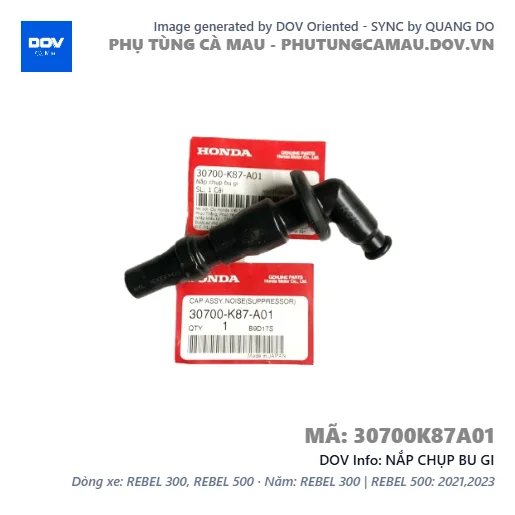 NẮP CHỤP BU GI — 30700K87A01