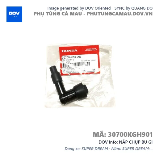 NẮP CHỤP BU GI  — 30700KGH901