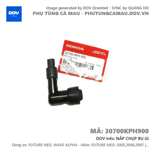 NẮP CHỤP BU GI  — 30700KPH900