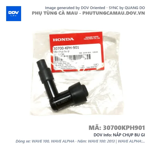 NẮP CHỤP BU GI  — 30700KPH901
