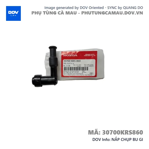 NẮP CHỤP BU GI  — 30700KRS860